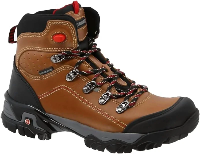 Leather Hiking Boots In Brown